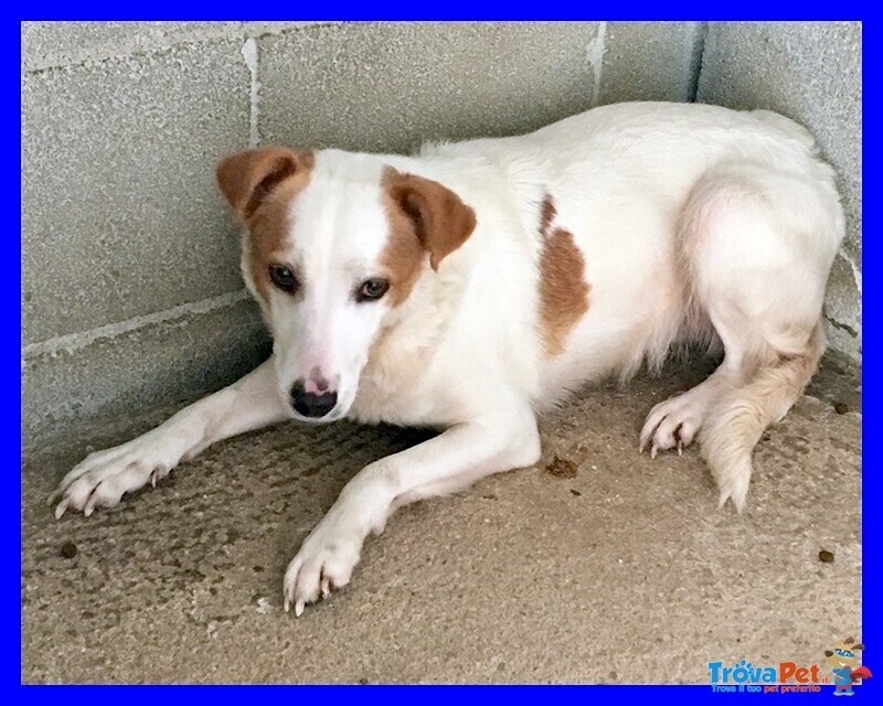 Giorgina Nonnina Dagli Occhi Dolci e Tristi - Foto n. 1