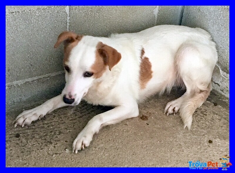 Giorgina Nonnina Dagli Occhi Dolci e Tristi - Foto n. 2