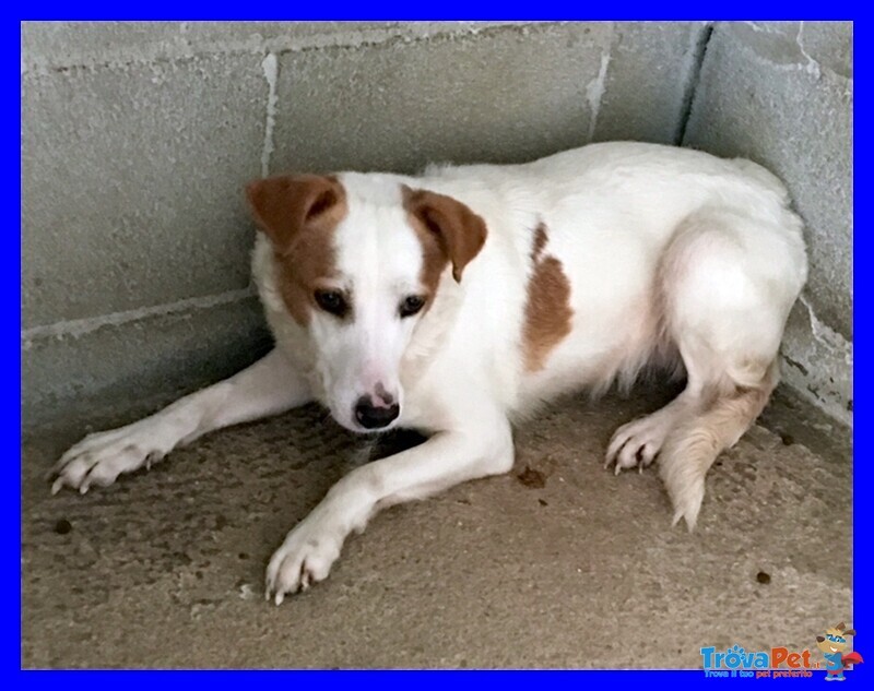 Giorgina Nonnina Dagli Occhi Dolci e Tristi - Foto n. 3