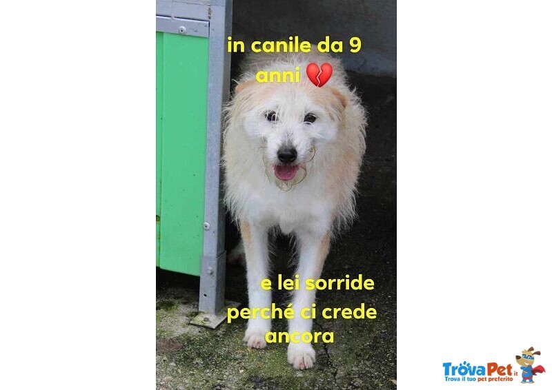 Trudy sui 9anni ti Sorride e Spera! tg Media - Foto n. 1