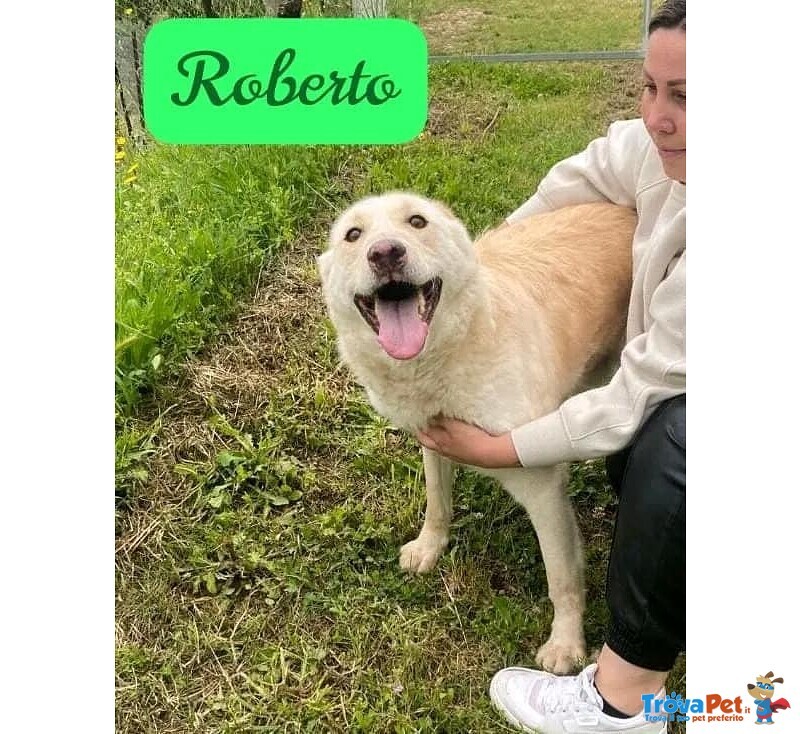 Roberto Socievole Allegro! tg Media - Foto n. 1