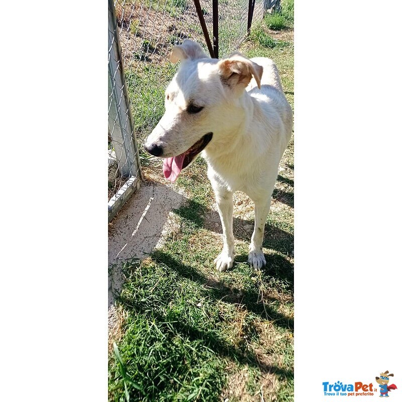 Roberto Socievole Allegro! tg Media - Foto n. 3