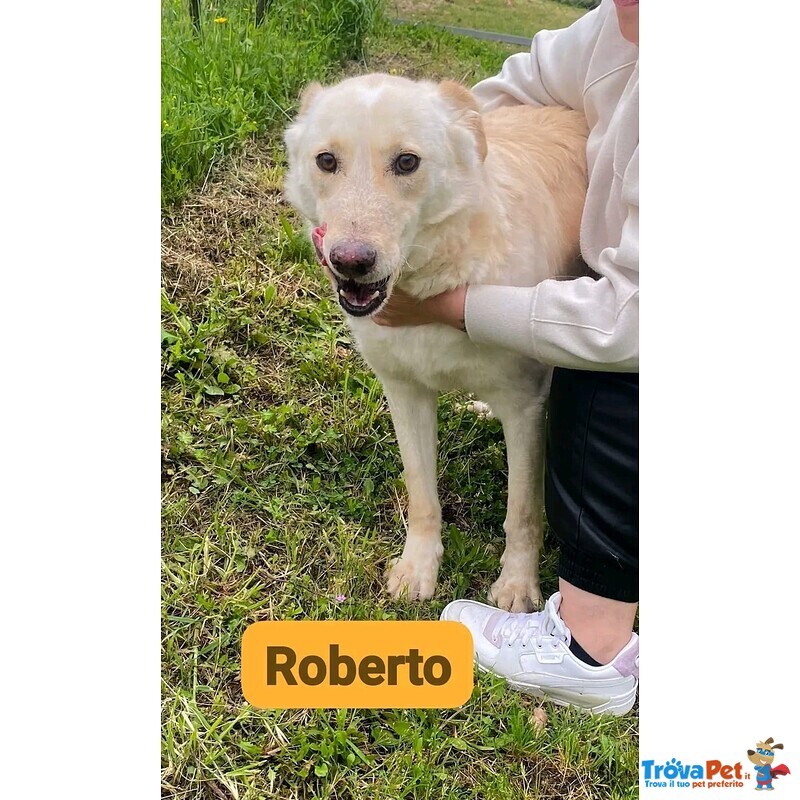 Roberto Socievole Allegro! tg Media - Foto n. 4