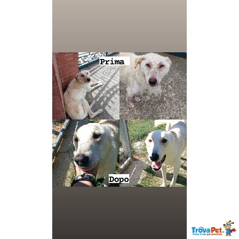 Roberto Socievole Allegro! tg Media - Foto n. 6