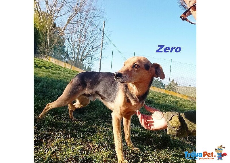 Zero 7anni Dolcissimo Cercacoccole tg Contenuta - Foto n. 1