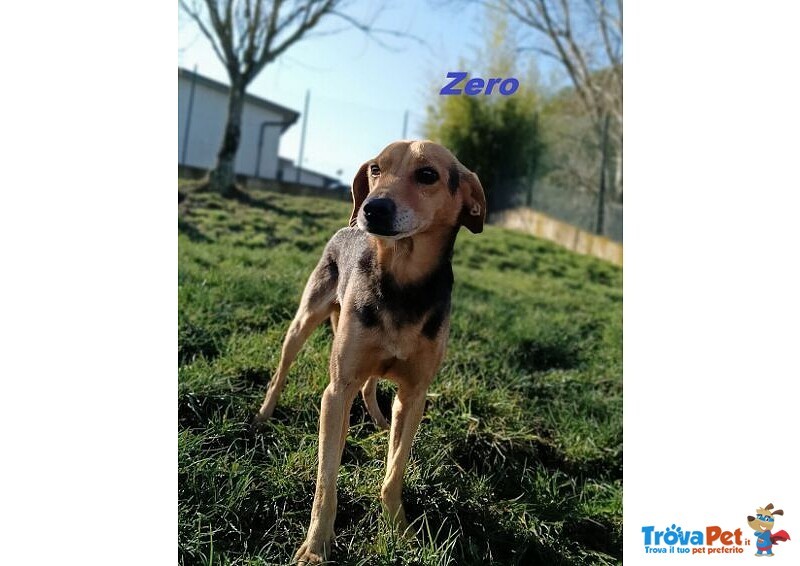 Zero 7anni Dolcissimo Cercacoccole tg Contenuta - Foto n. 3