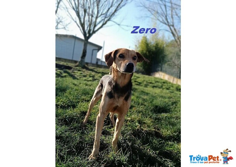 Zero 7anni Dolcissimo Cercacoccole tg Contenuta - Foto n. 5