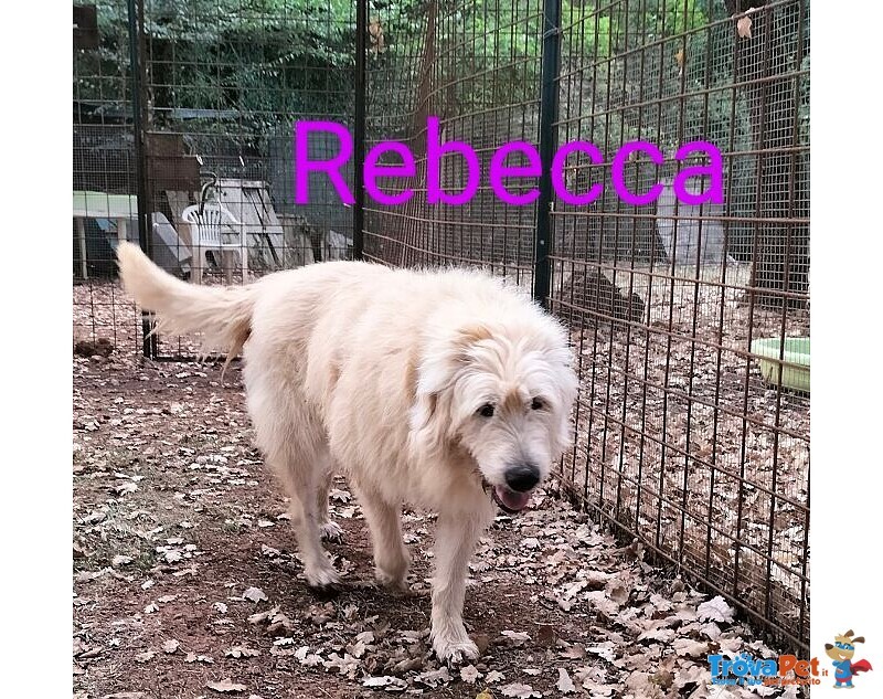 Rebecca 9anni Rimasta sola - Dolcissima! - Foto n. 3
