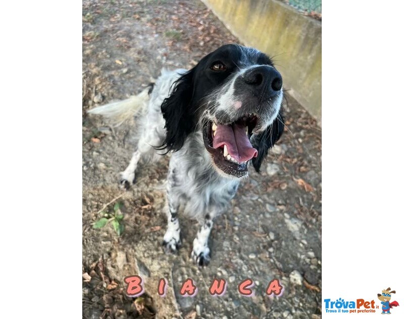 Bianca 1 anno Dolce Coccolona - Foto n. 2