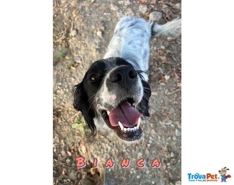 Bianca 1 anno Dolce Coccolona - Foto n. 4