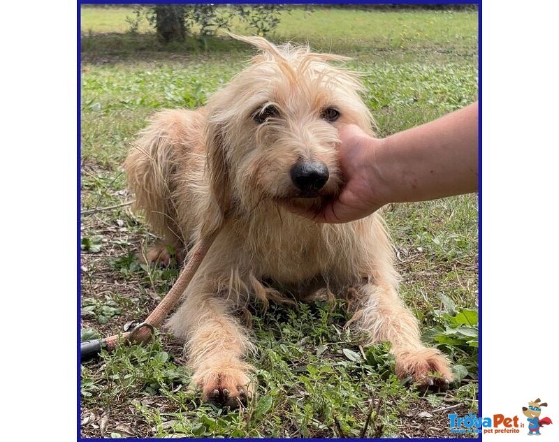 Giacomo 4anni dopo L'inferno è Pronto per una Famiglia - Foto n. 2