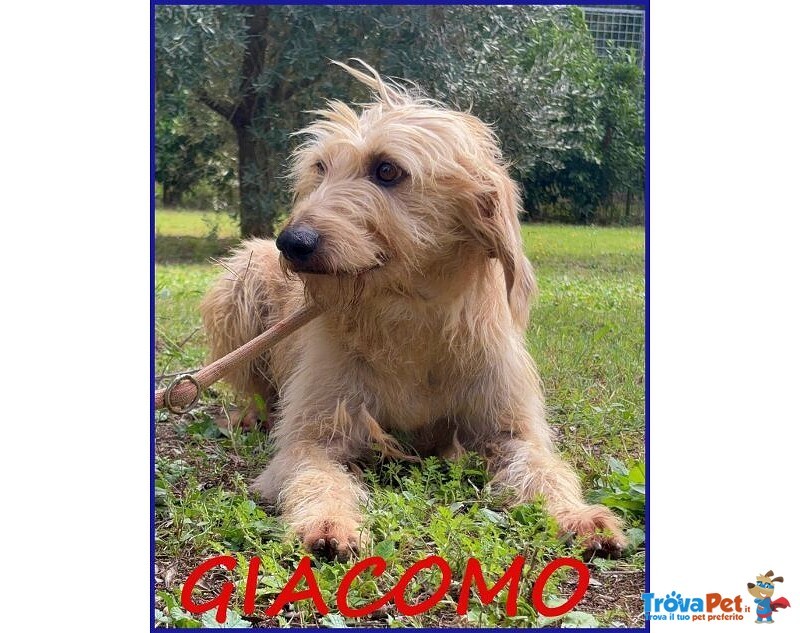 Giacomo 4anni dopo L'inferno è Pronto per una Famiglia - Foto n. 3