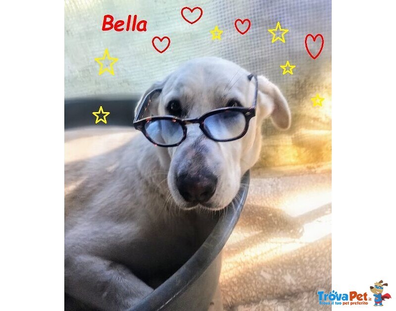 Bella Buona e Festosa - Giovane - Foto n. 5