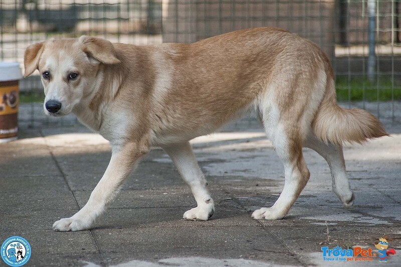 Pimpa, la Timidezza che Chiede Tempo.. - Foto n. 3