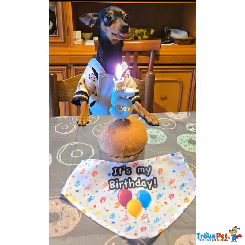 Cerco Fidanzatina - Foto n. 1