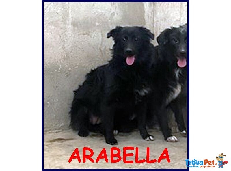 Arabella sui 3anni Timida, ma Anche Curiosa! - Foto n. 1