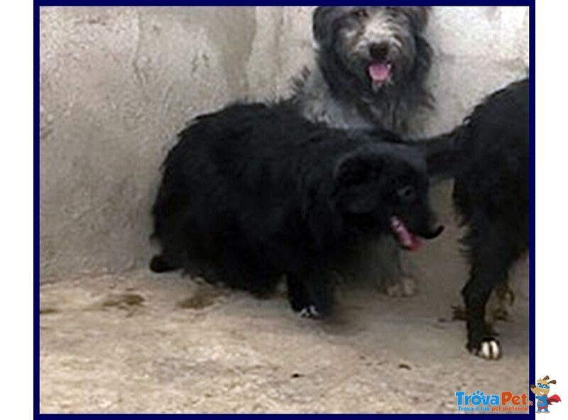 Arabella sui 3anni Timida, ma Anche Curiosa! - Foto n. 2