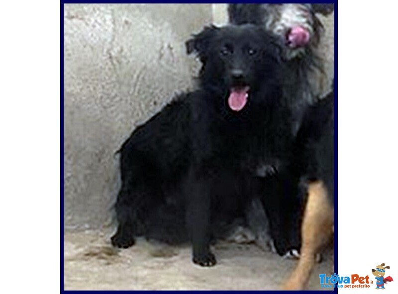 Arabella sui 3anni Timida, ma Anche Curiosa! - Foto n. 3