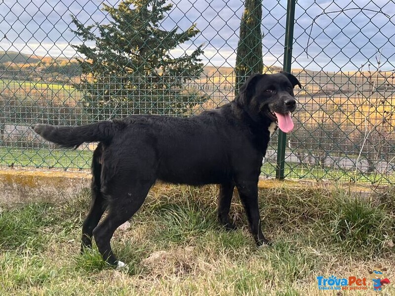 Flo 2anni Bella ed Energica - Foto n. 1