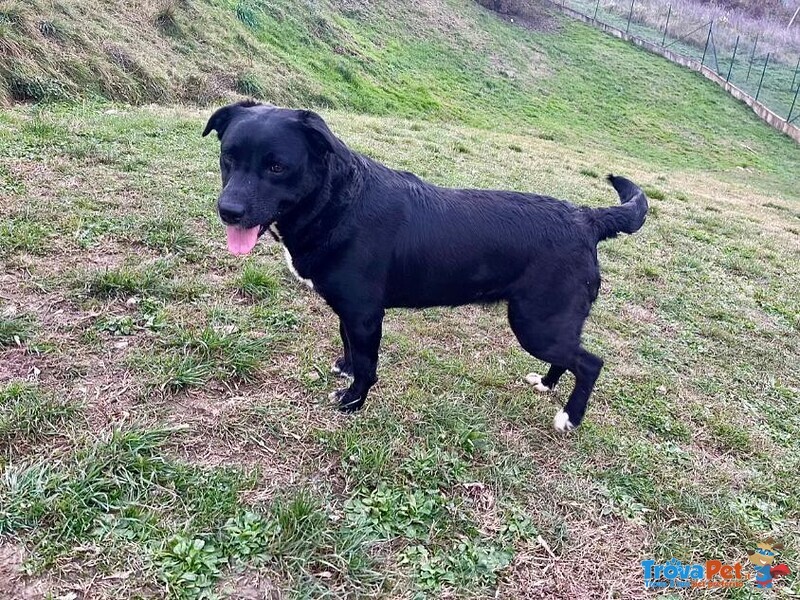 Flo 2anni Bella ed Energica - Foto n. 2