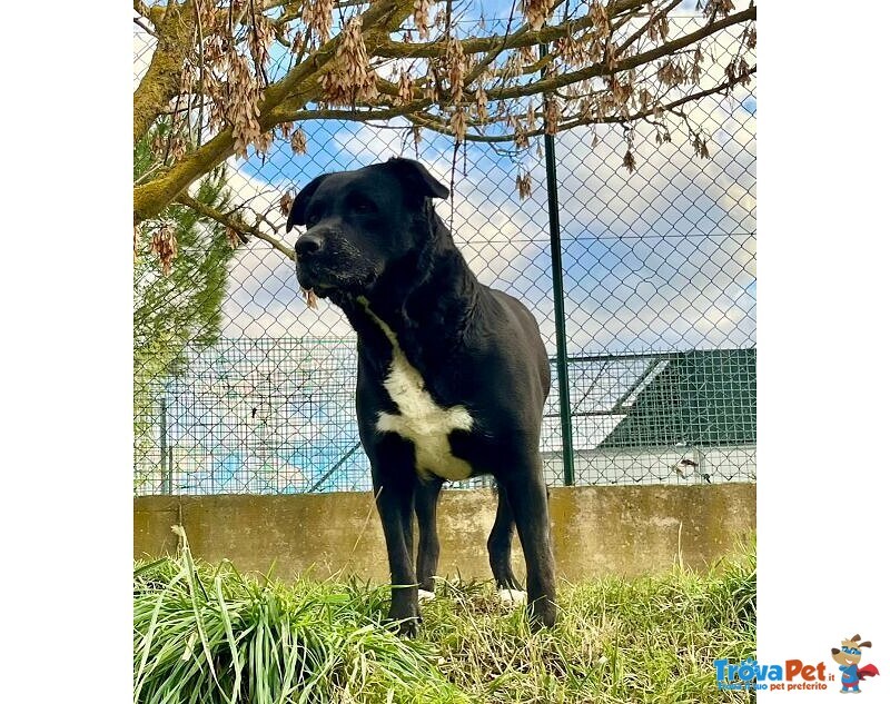 Flo 2anni Bella ed Energica - Foto n. 3