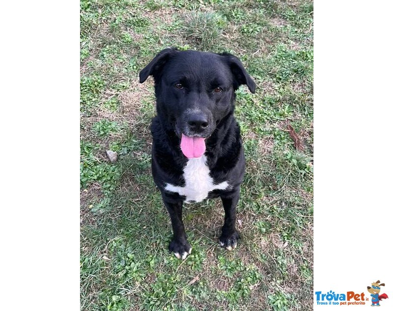 Flo 2anni Bella ed Energica - Foto n. 5