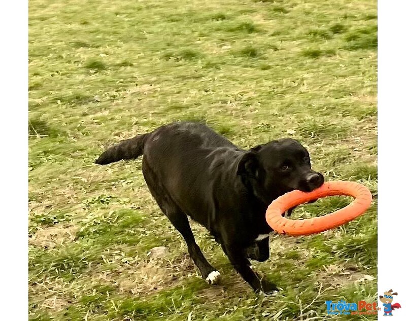 Flo 2anni Bella ed Energica - Foto n. 6