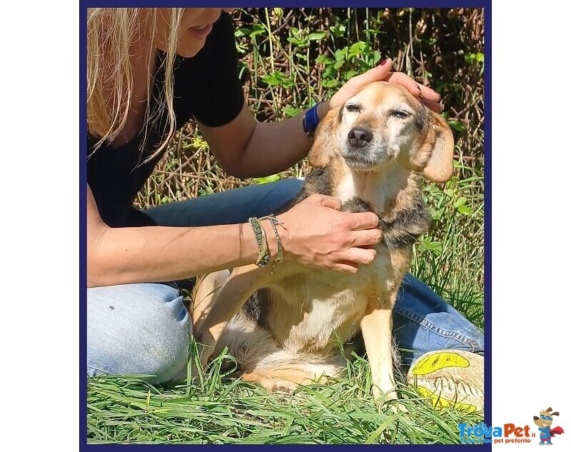 Nonna Polenta Sogna un Divano e Tante Coccole - Foto n. 3