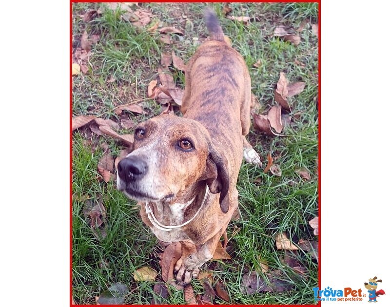 Svitol 5anni Dolcissima e Vivace - Foto n. 5