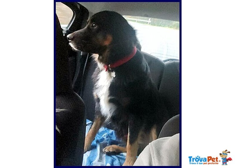 Argo Dolcissimo Patatone 5anni - Foto n. 1