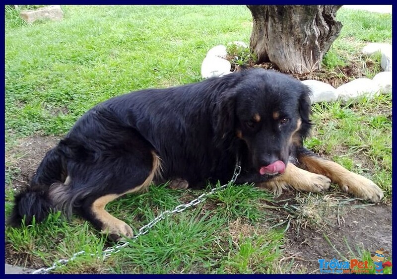 Argo Dolcissimo Patatone 5anni - Foto n. 2