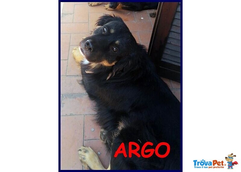 Argo Dolcissimo Patatone 5anni - Foto n. 5