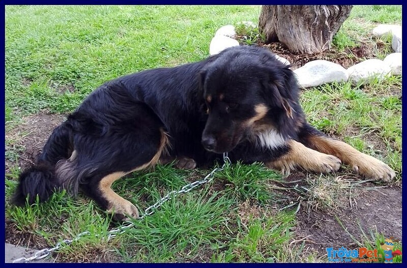 Argo Dolcissimo Patatone 5anni - Foto n. 6