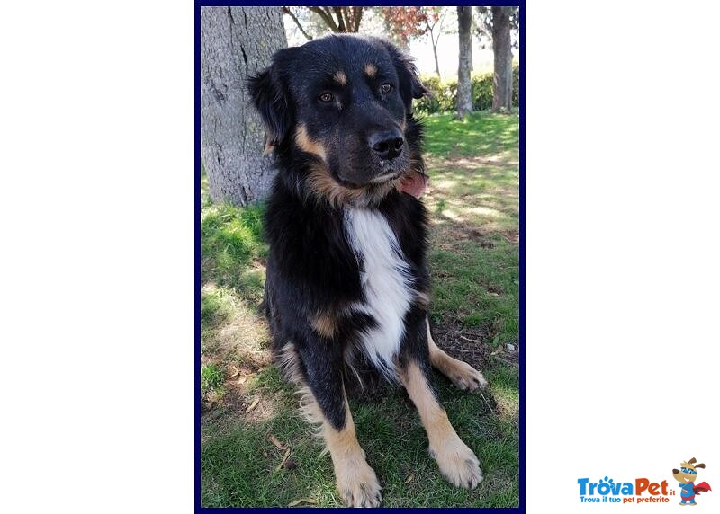 Argo Dolcissimo Patatone 5anni - Foto n. 8