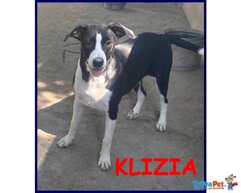 Klizia 3anni Allegra e Simpaticissima - Foto n. 1