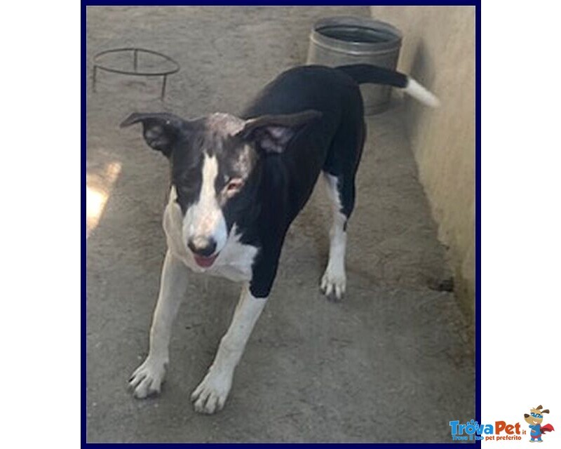 Klizia 3anni Allegra e Simpaticissima - Foto n. 5