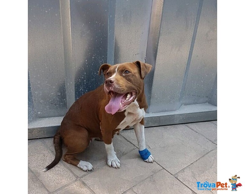 Margot Giovane - Buona con Tutti! - Foto n. 1