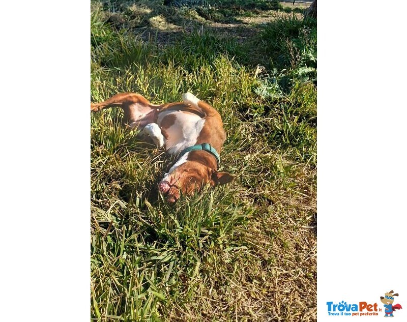 Margot Giovane - Buona con Tutti! - Foto n. 3