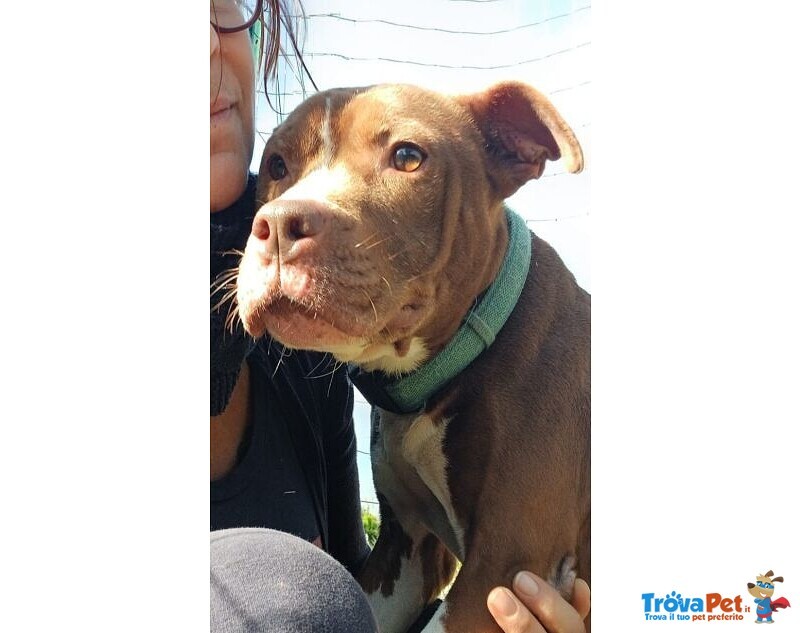 Margot Giovane - Buona con Tutti! - Foto n. 4