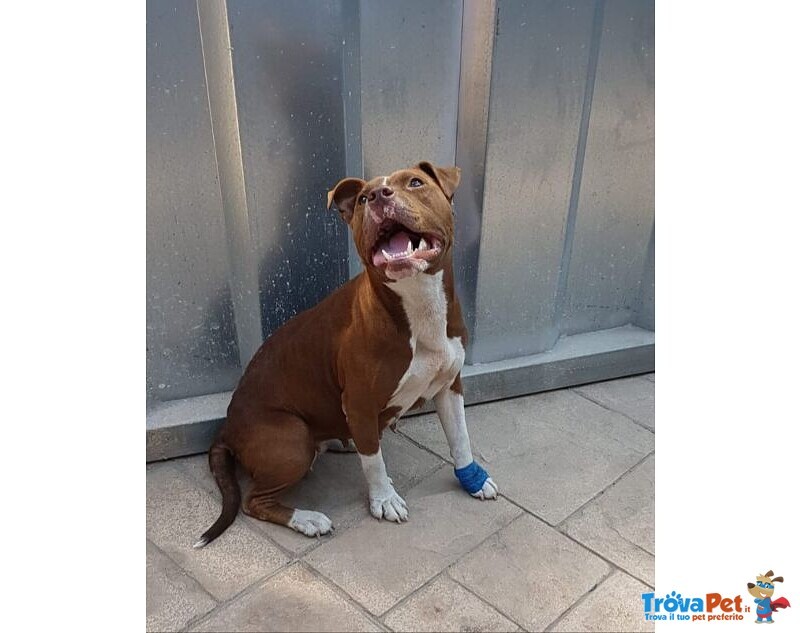 Margot Giovane - Buona con Tutti! - Foto n. 5