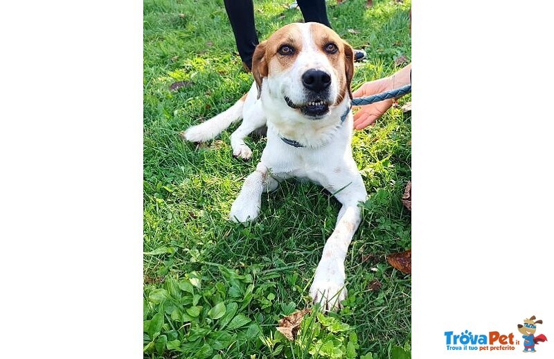 Tommy 7anni deve Finalmente Trovare Pace - Foto n. 1