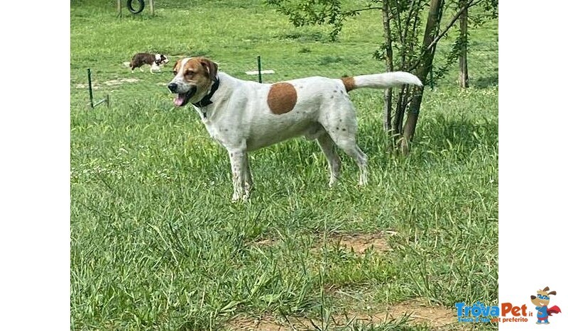 Tommy 7anni deve Finalmente Trovare Pace - Foto n. 3