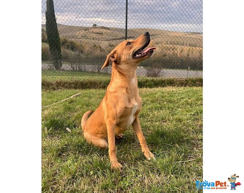 Cleopatra 8 mesi Un'esplosione di Simpatia - Foto n. 1