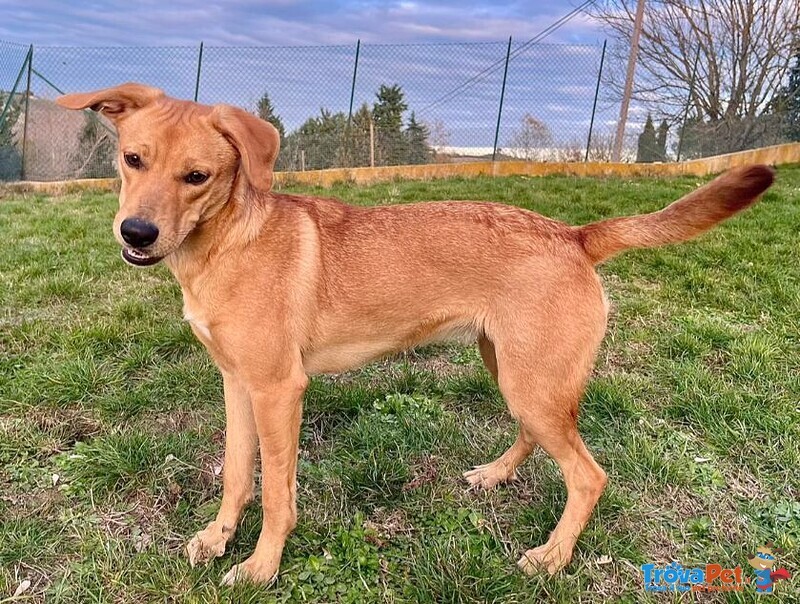 Cleopatra 8 mesi Un'esplosione di Simpatia - Foto n. 2