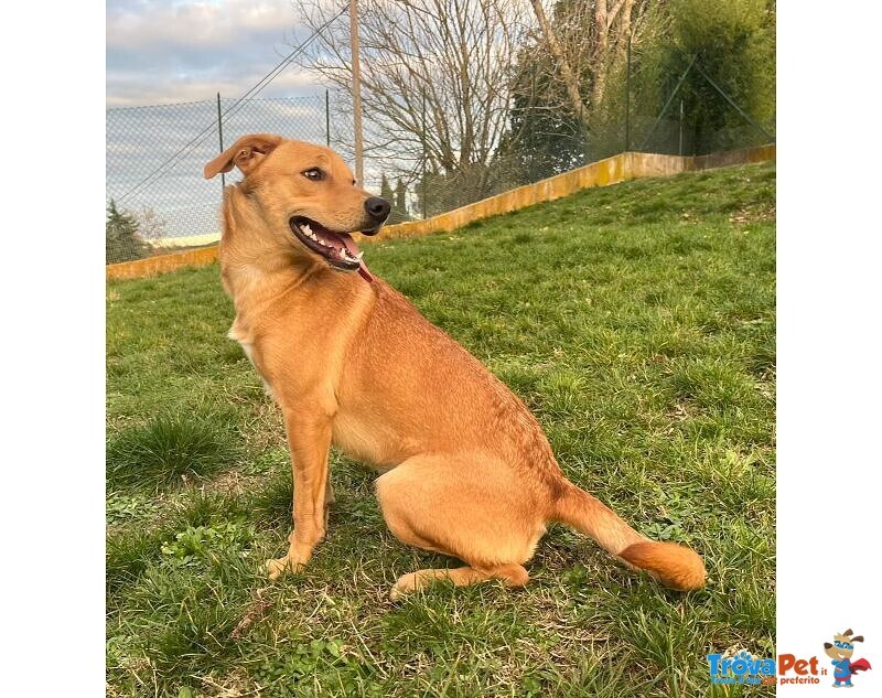 Cleopatra 8 mesi Un'esplosione di Simpatia - Foto n. 4