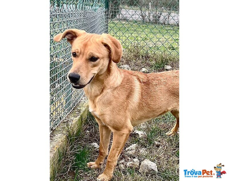 Cleopatra 8 mesi Un'esplosione di Simpatia - Foto n. 5