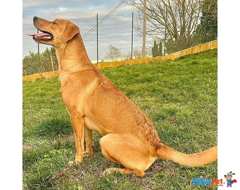 Cleopatra 8 mesi Un'esplosione di Simpatia - Foto n. 6