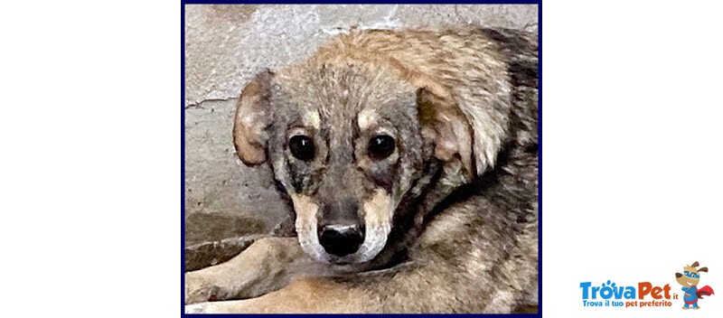 Flavia sui 3 anni una Timidina - Foto n. 1