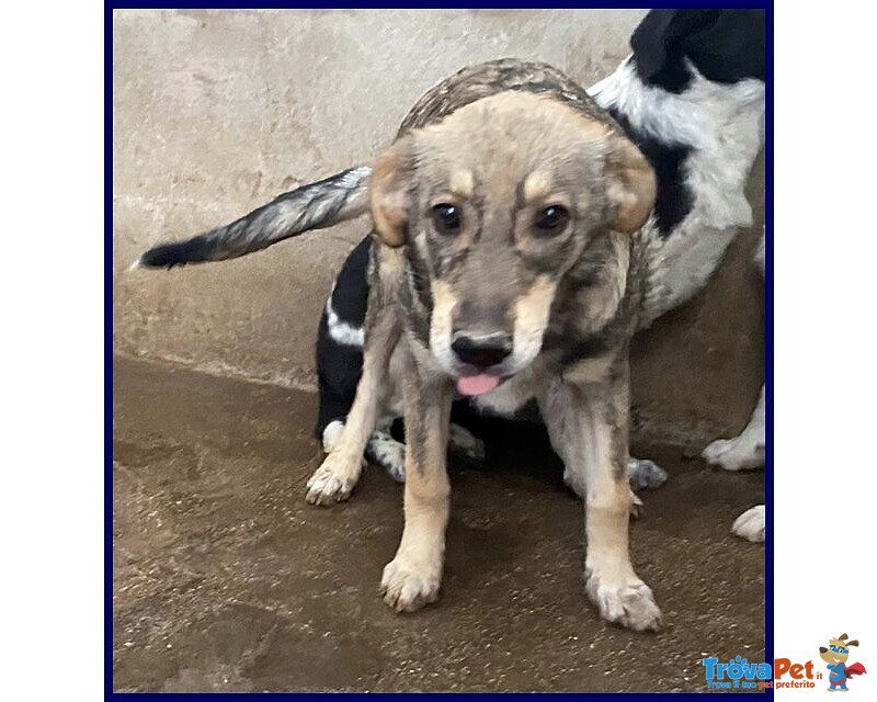 Flavia sui 3 anni una Timidina - Foto n. 3