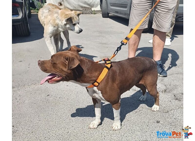 Dalila Giovane, Socievole e Buona con Tutti! - Foto n. 1